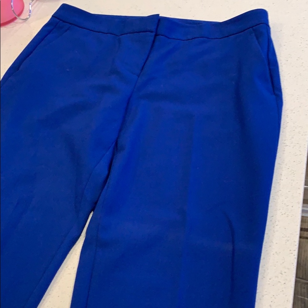 Vince Camuto Royal Blue Cropped Ankle Pants